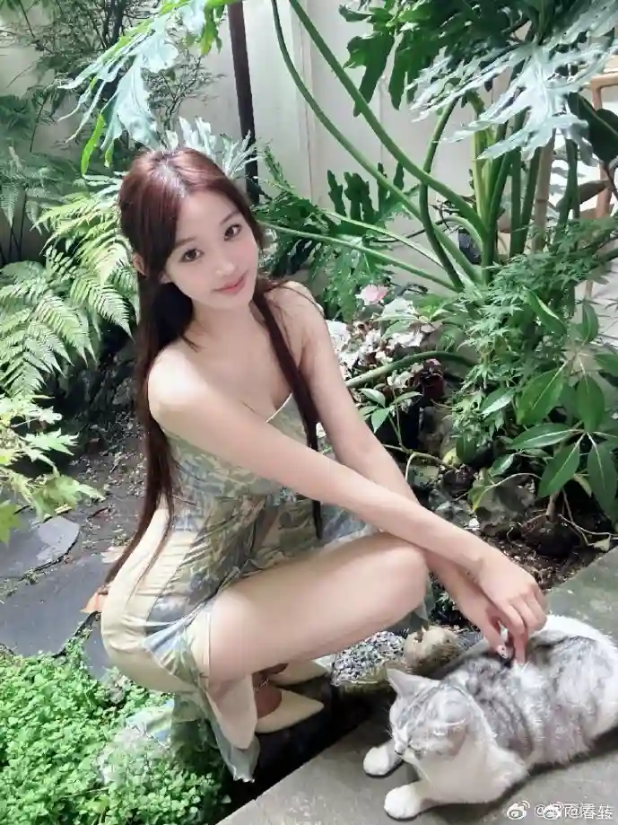 全球P2P流量分布图